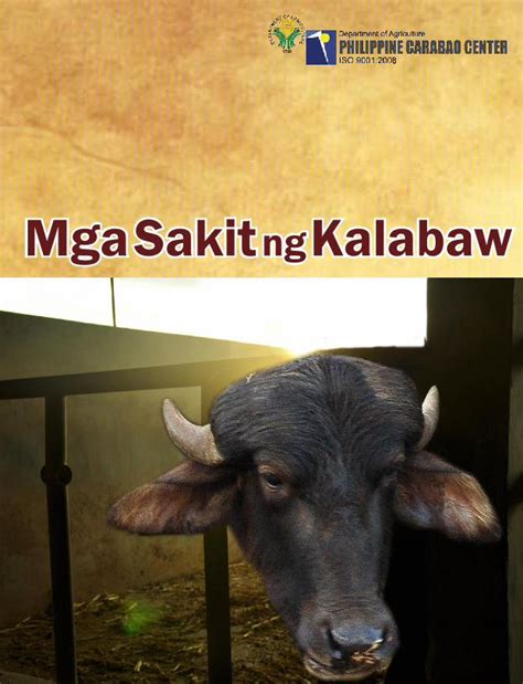 Mga Sakit Kalabaw .